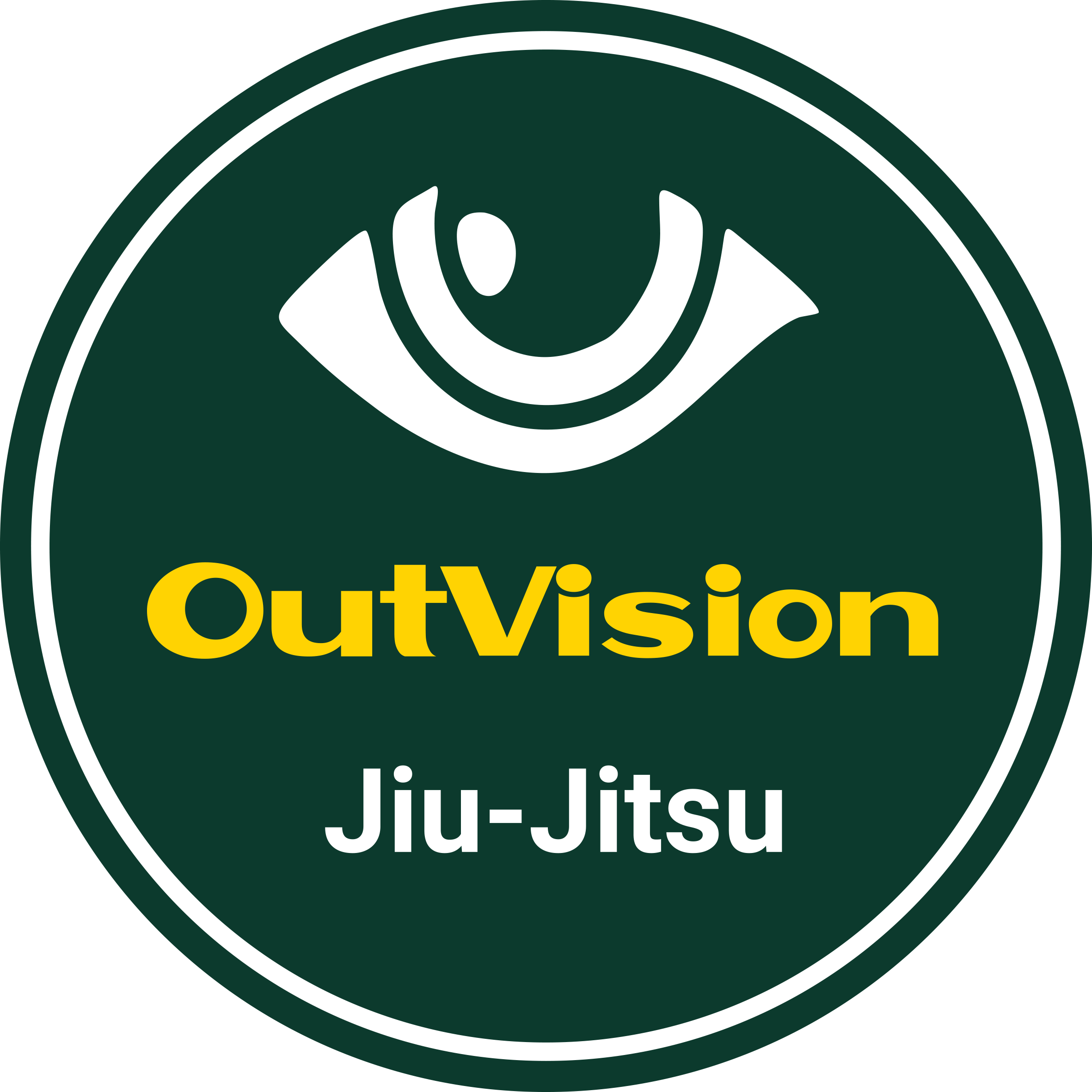 OutVision Jiu-Jitsu